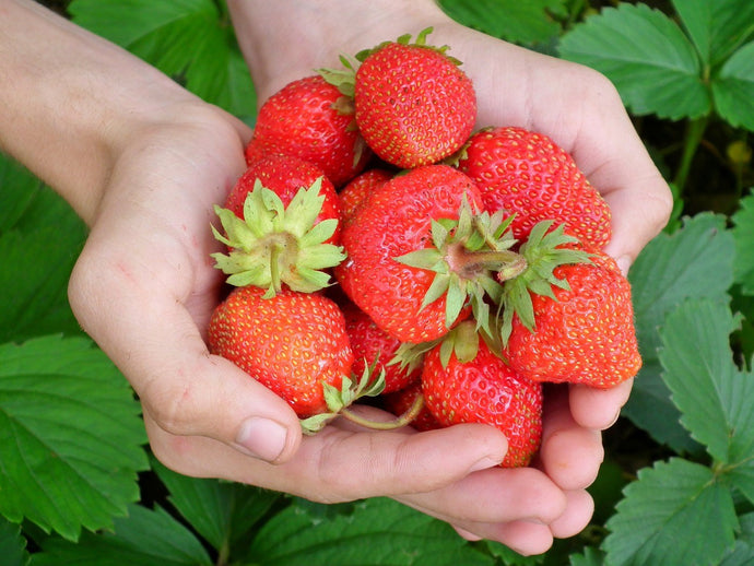 Strawberries and Cosmetics: they go hand in hand!